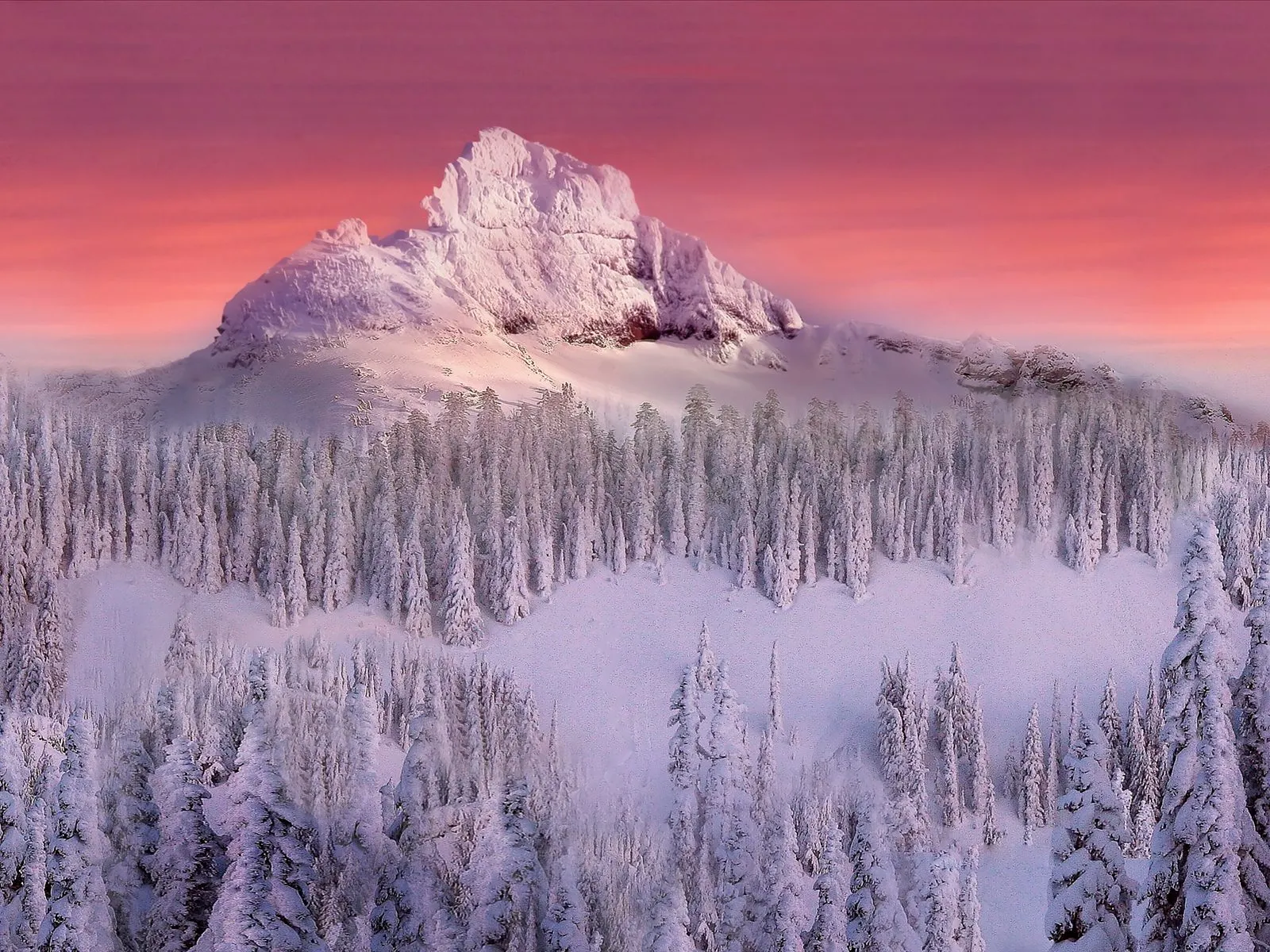 A majestic snow-covered mountain peak rises above a dense forest of snow-laden pine trees under a vibrant pink and orange sky.