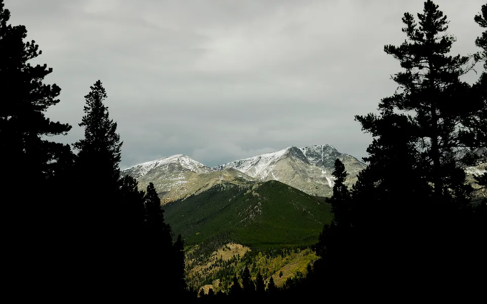 Silhouetted pine trees frame a view of snow-capped mountains under a cloudy sky.