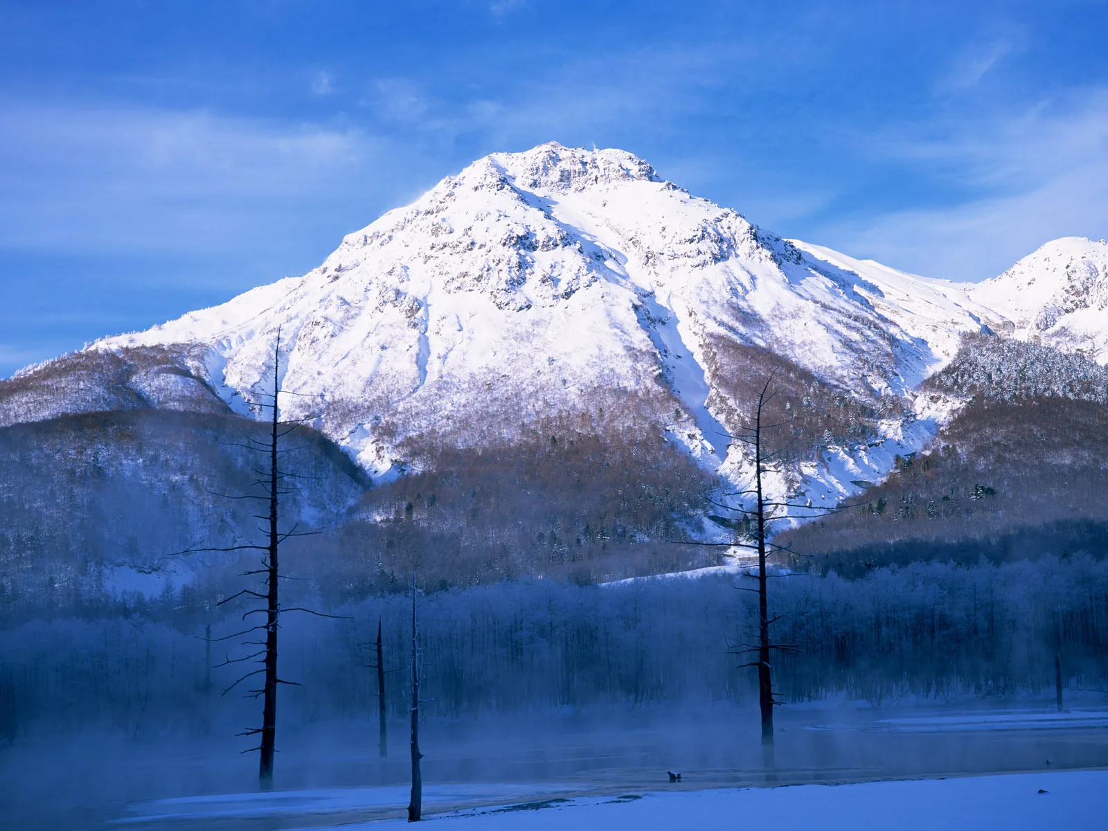 A snow-capped mountain under a clear blue sky, with silhouetted trees in a misty foreground.