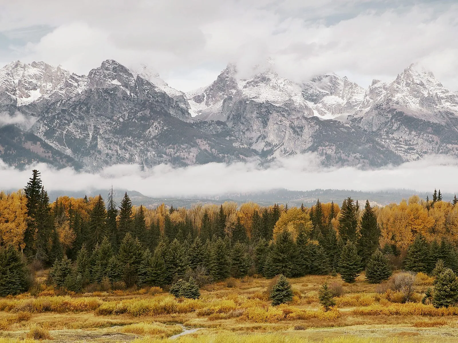 Snow-capped mountains rise above a forest with golden autumn foliage and a cloudy sky.