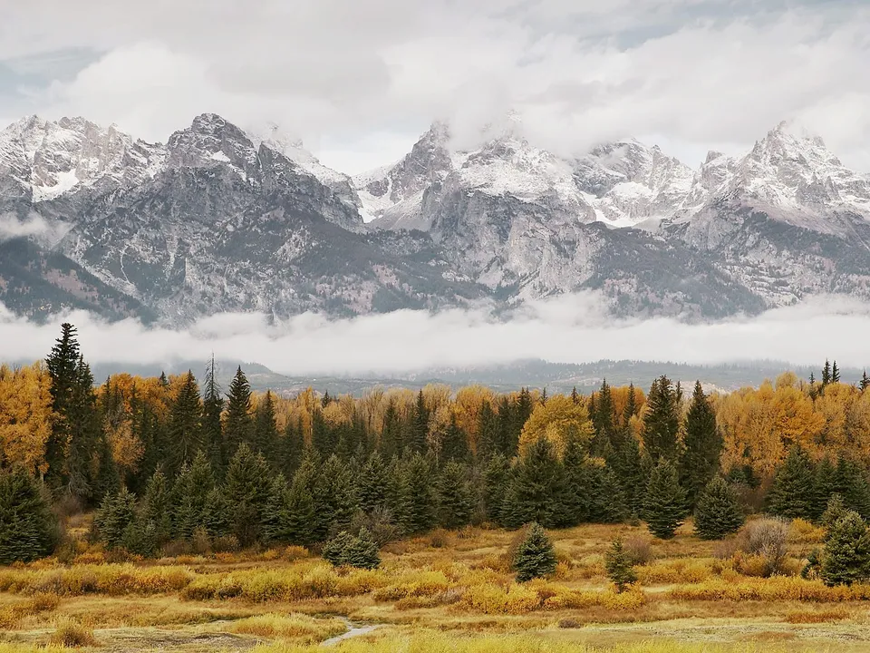 Snow-capped mountains rise above a forest with golden autumn foliage and a cloudy sky.