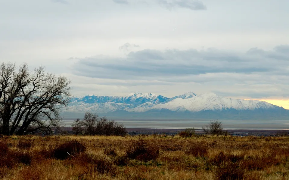 A wide shot of a snow-capped mountain range under a cloudy sky, with dry grass and trees in the foreground.