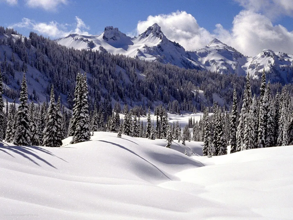 Snow-covered mountains and evergreen trees under a bright blue sky with fluffy clouds.