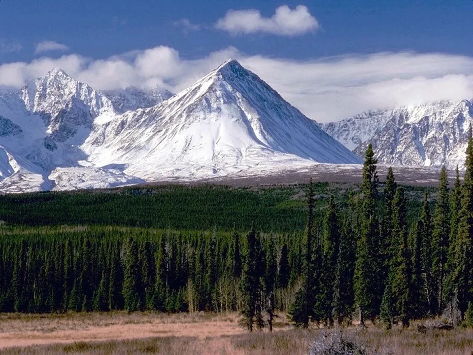 A panoramic view of snow-capped mountains rising above a dark green forest under a blue sky with clouds.