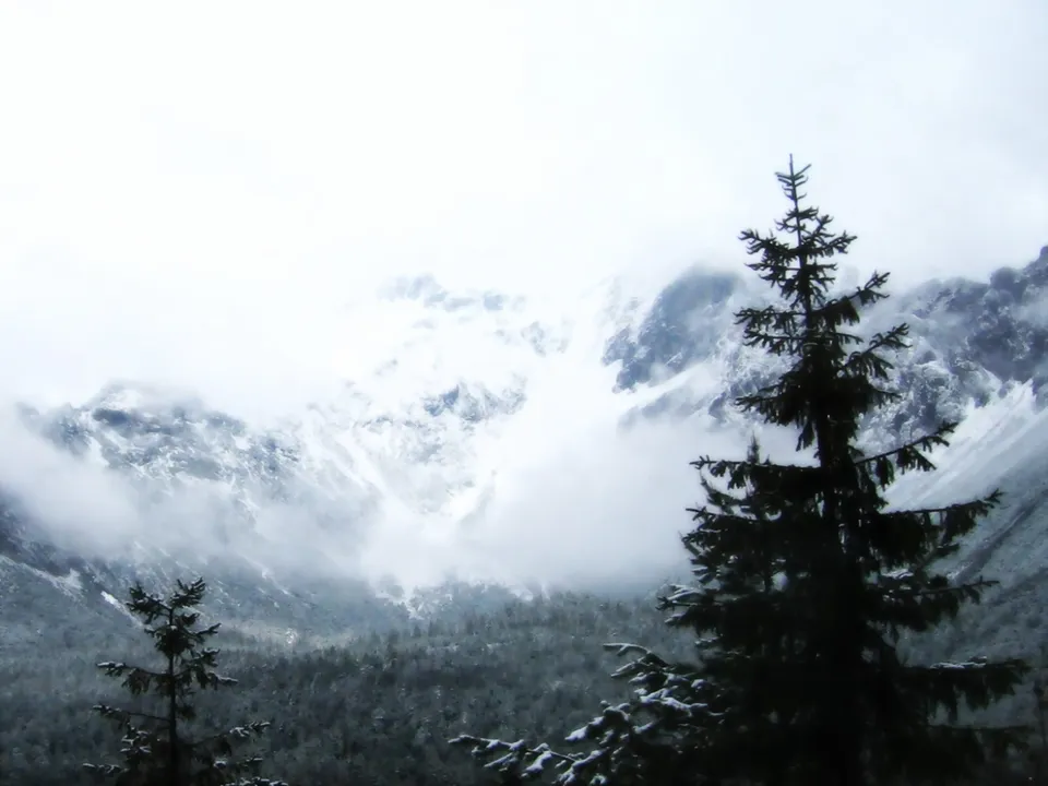 A view of snow-covered mountains shrouded in mist, with dark evergreen trees in the foreground.
