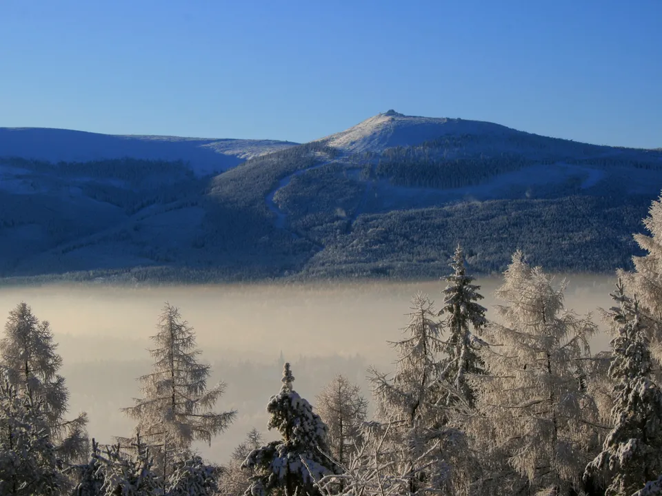 A wide shot of snow-covered mountains and trees with a layer of fog in the valley below.