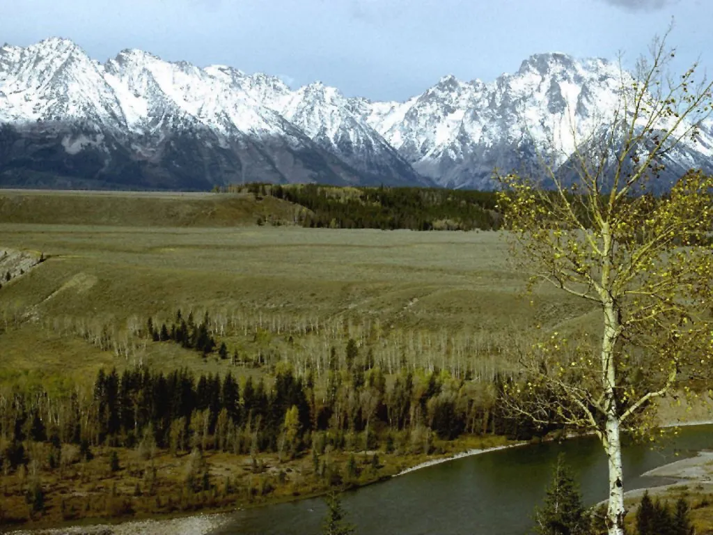 A wide view of snow-capped mountains under a cloudy sky, with a river and trees in the foreground.
