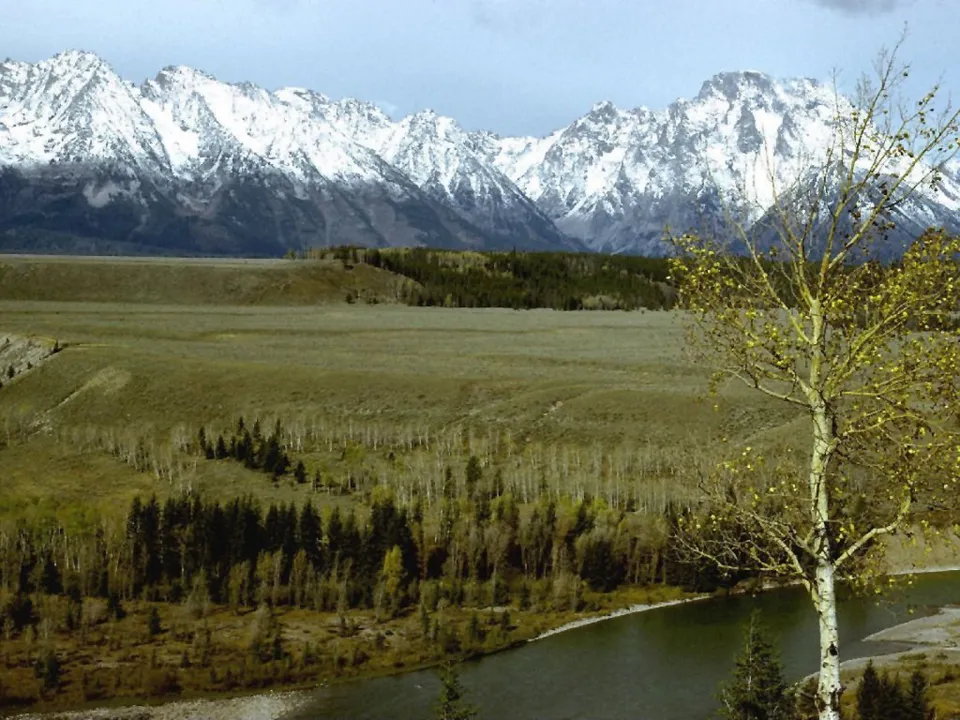 A wide view of snow-capped mountains under a cloudy sky, with a river and trees in the foreground.