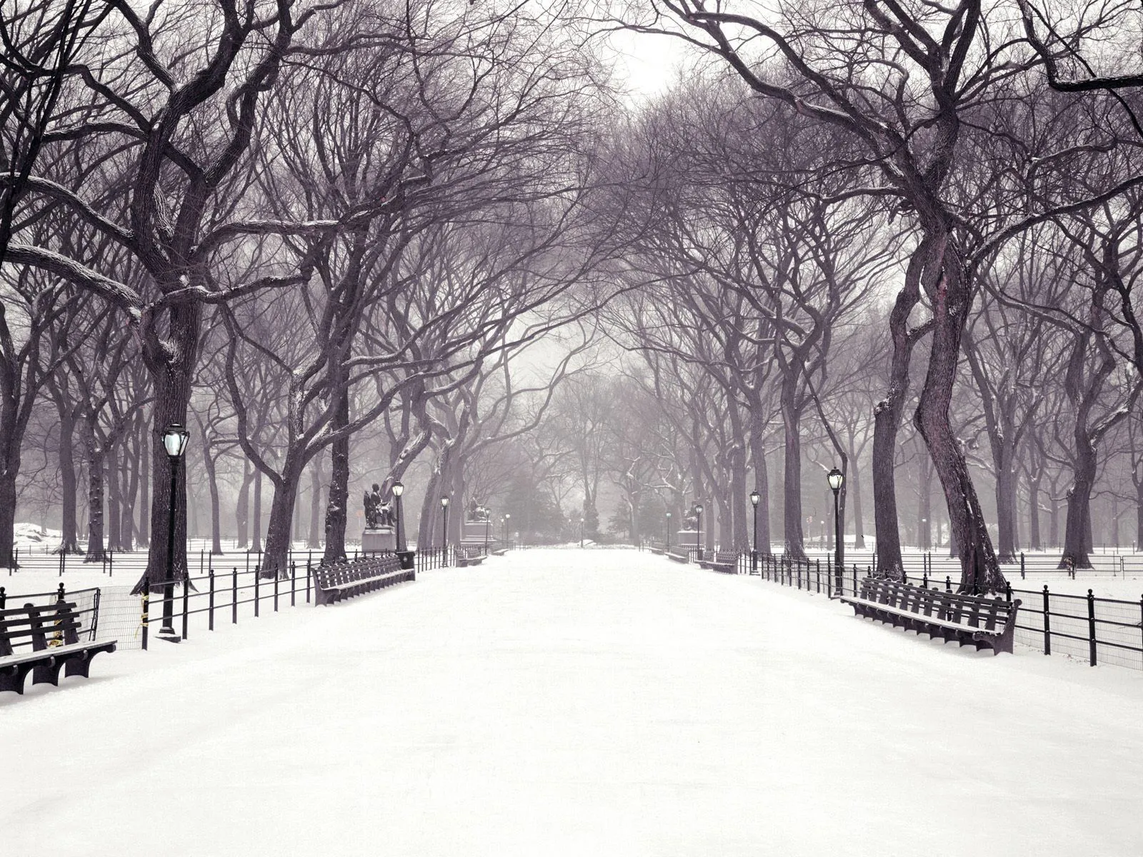 A snow-covered pathway in a park, lined with bare trees and benches, under a hazy sky.