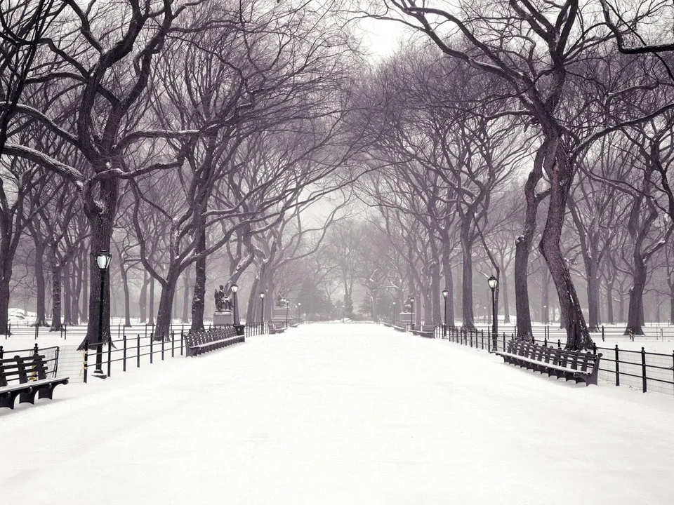A snow-covered pathway in a park, lined with bare trees and benches, under a hazy sky.