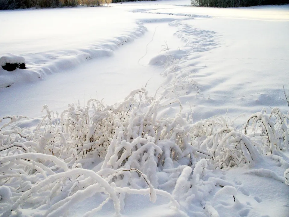 A winding path covered in snow leads through a field with snow-laden bushes in the foreground.