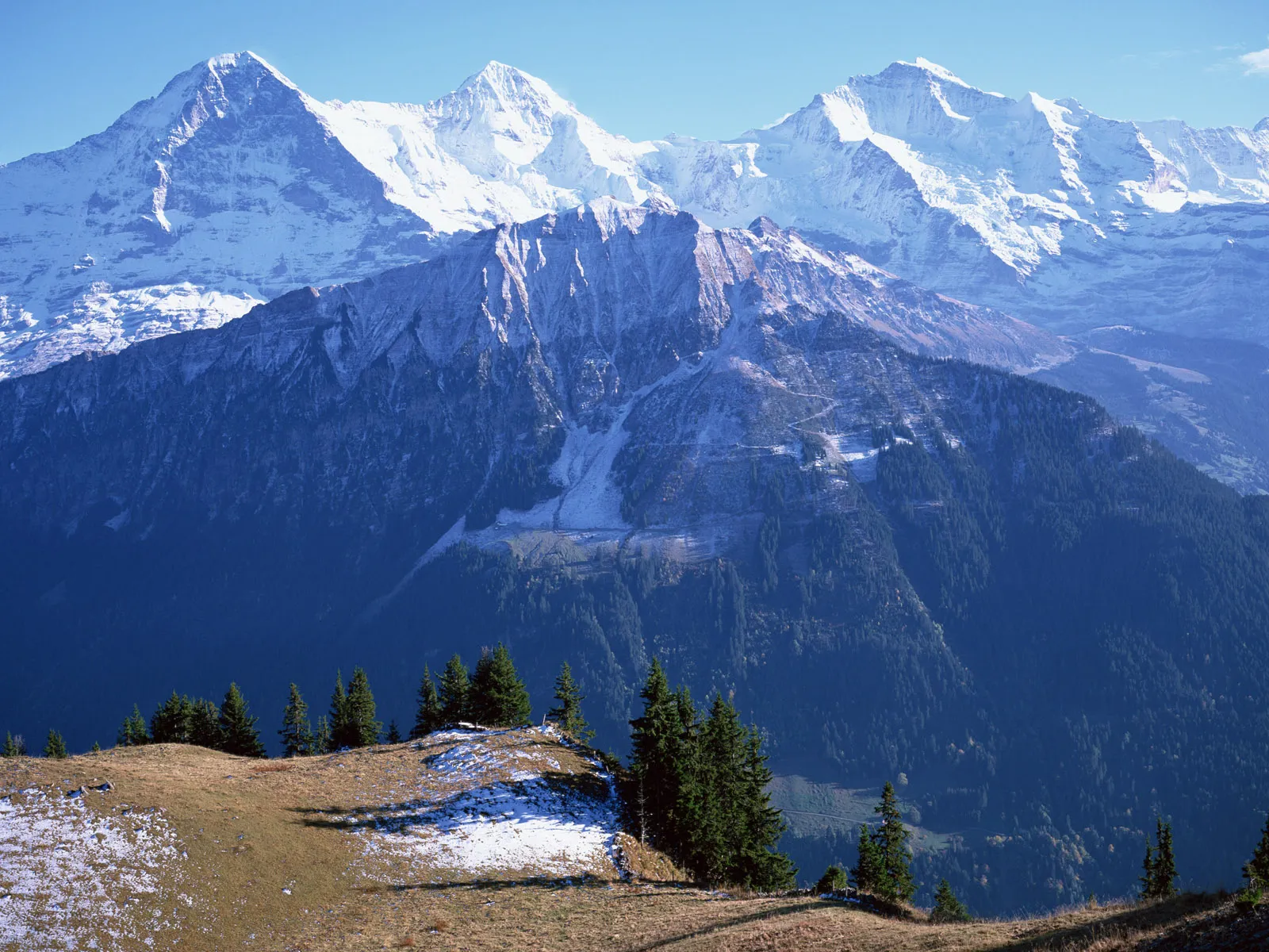 Rugged snow-dusted mountains rise above dense evergreen forests and a grassy foreground.