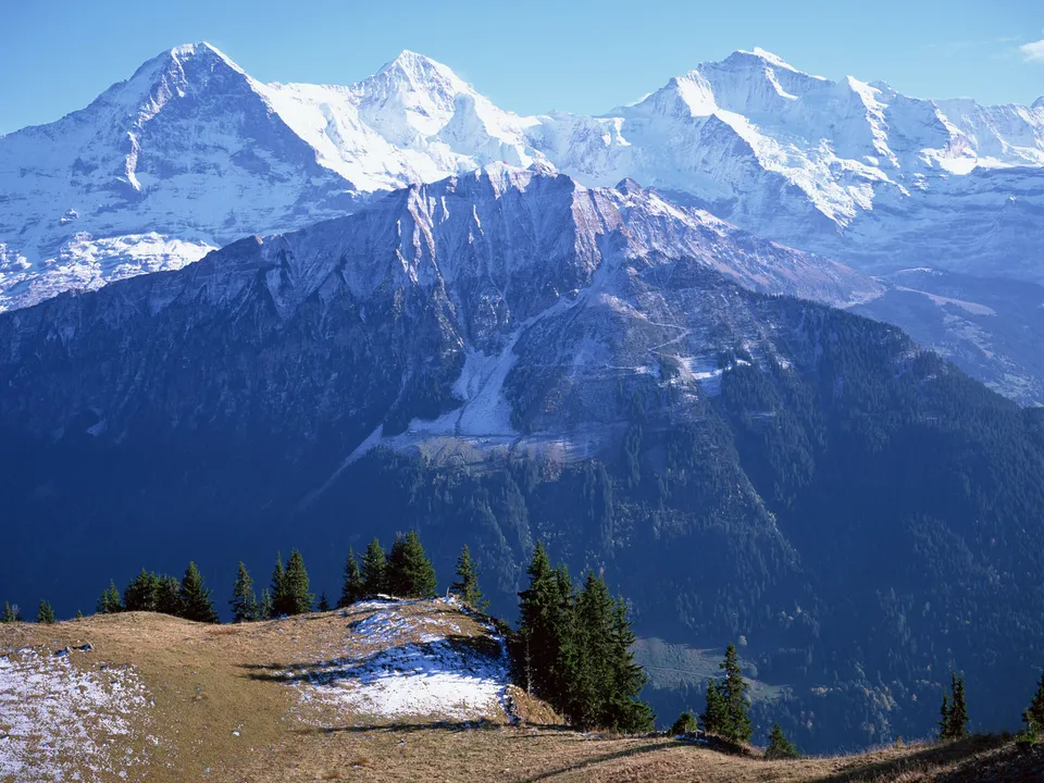 Rugged snow-dusted mountains rise above dense evergreen forests and a grassy foreground.