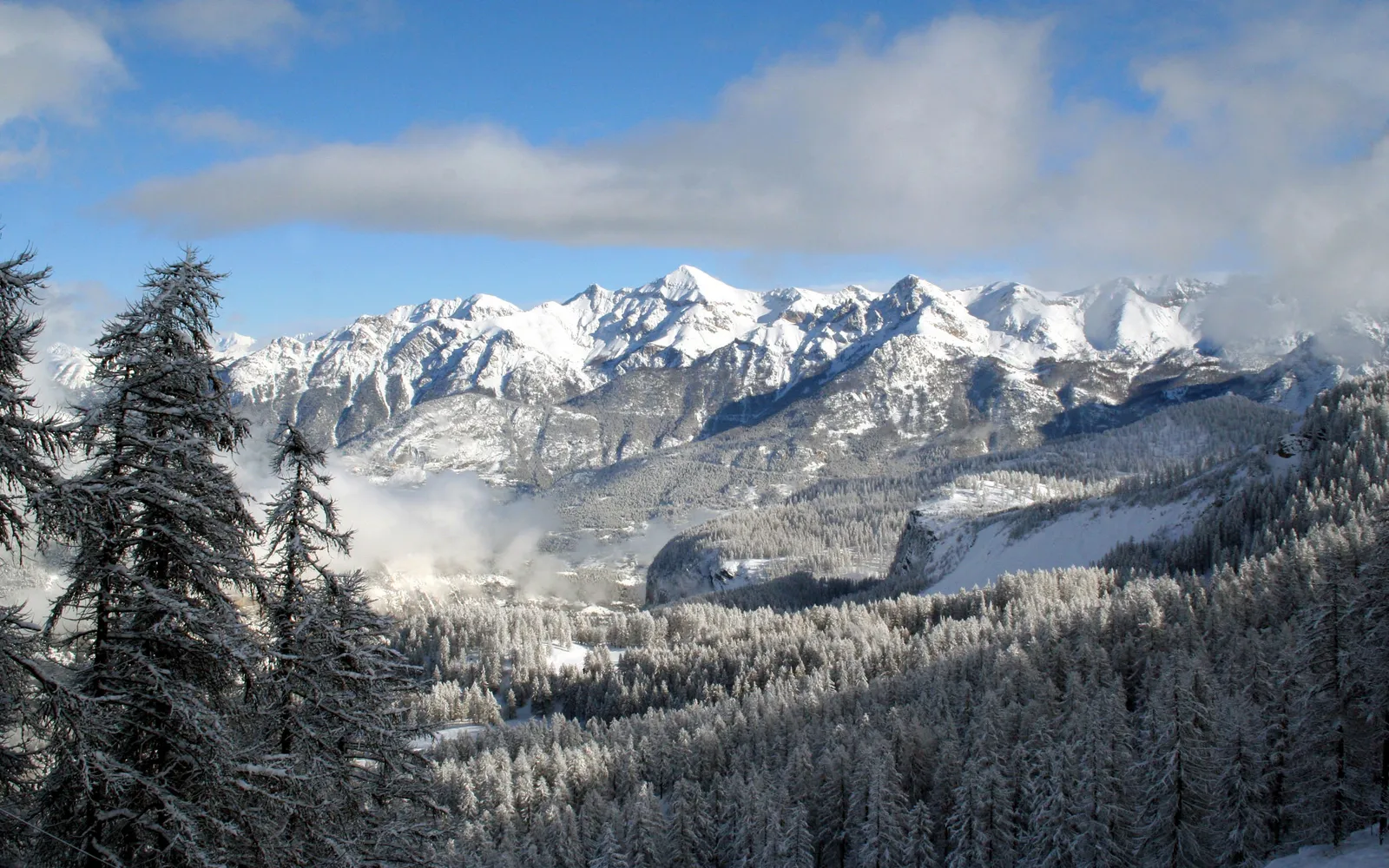 Snowy pine trees in the foreground with majestic snow-covered mountains in the background under a blue sky with clouds.