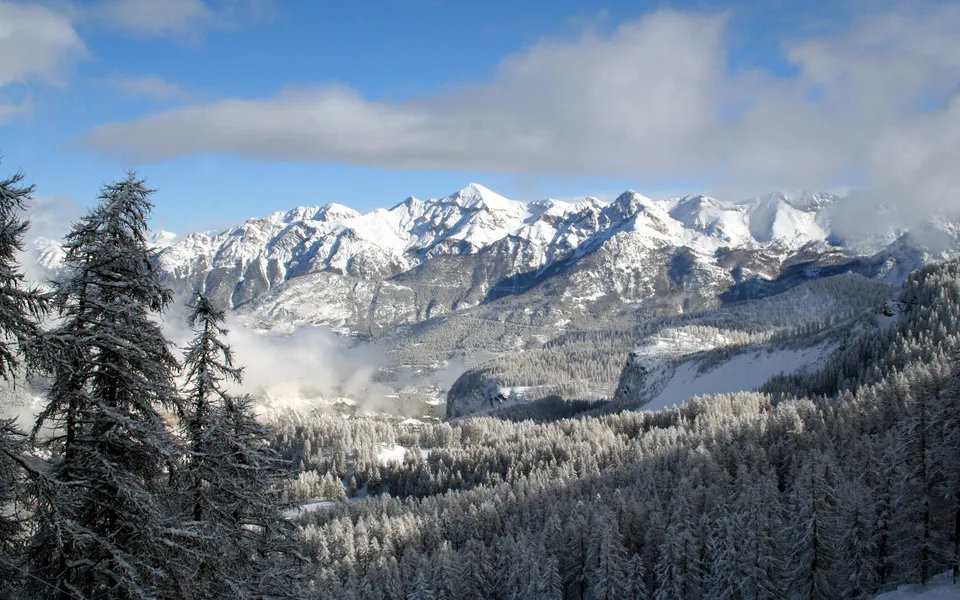 Snowy pine trees in the foreground with majestic snow-covered mountains in the background under a blue sky with clouds.