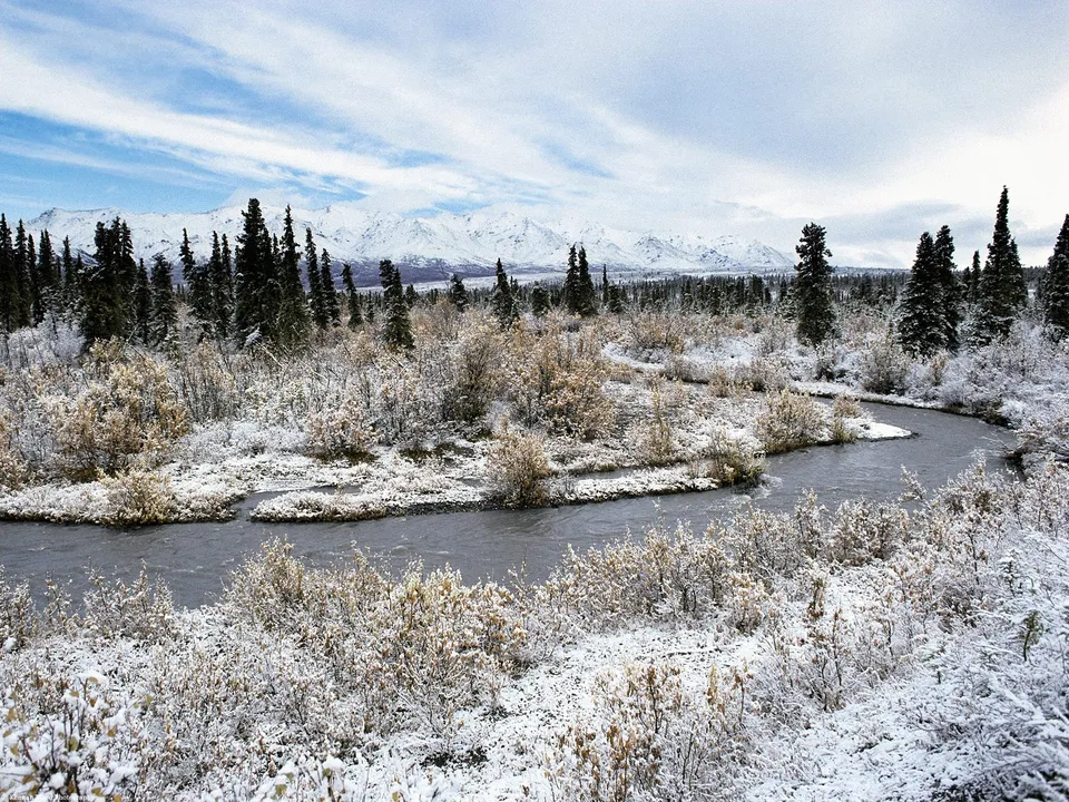 A winding river flows through a snow-covered landscape with pine trees and distant snow-capped mountains under a cloudy sky.
