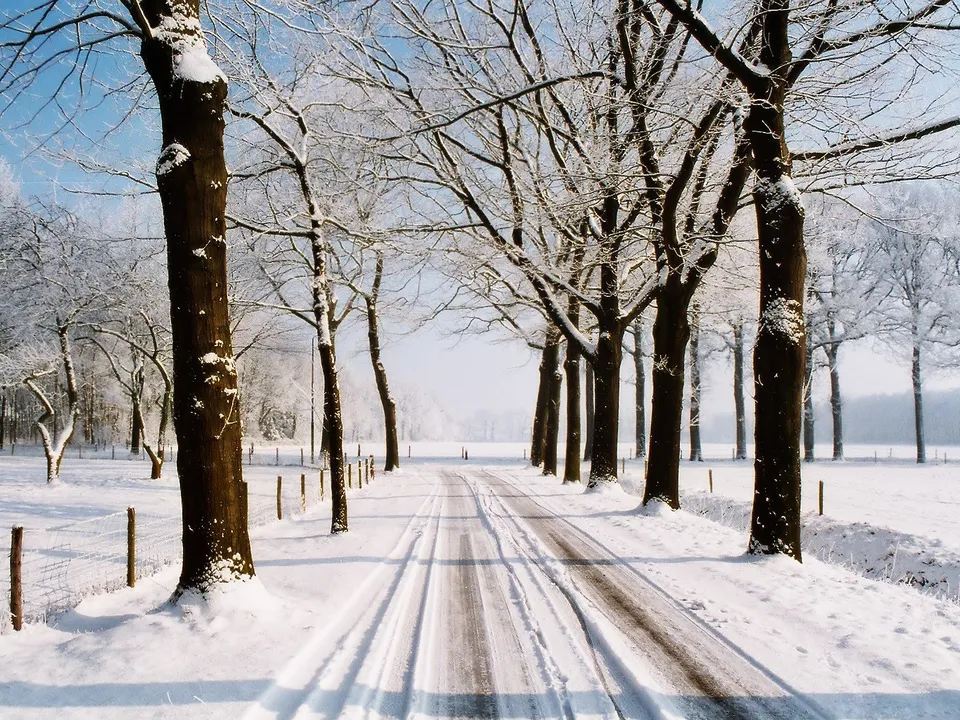 A snow-covered road curves through a landscape of bare trees dusted with snow under a clear blue sky.