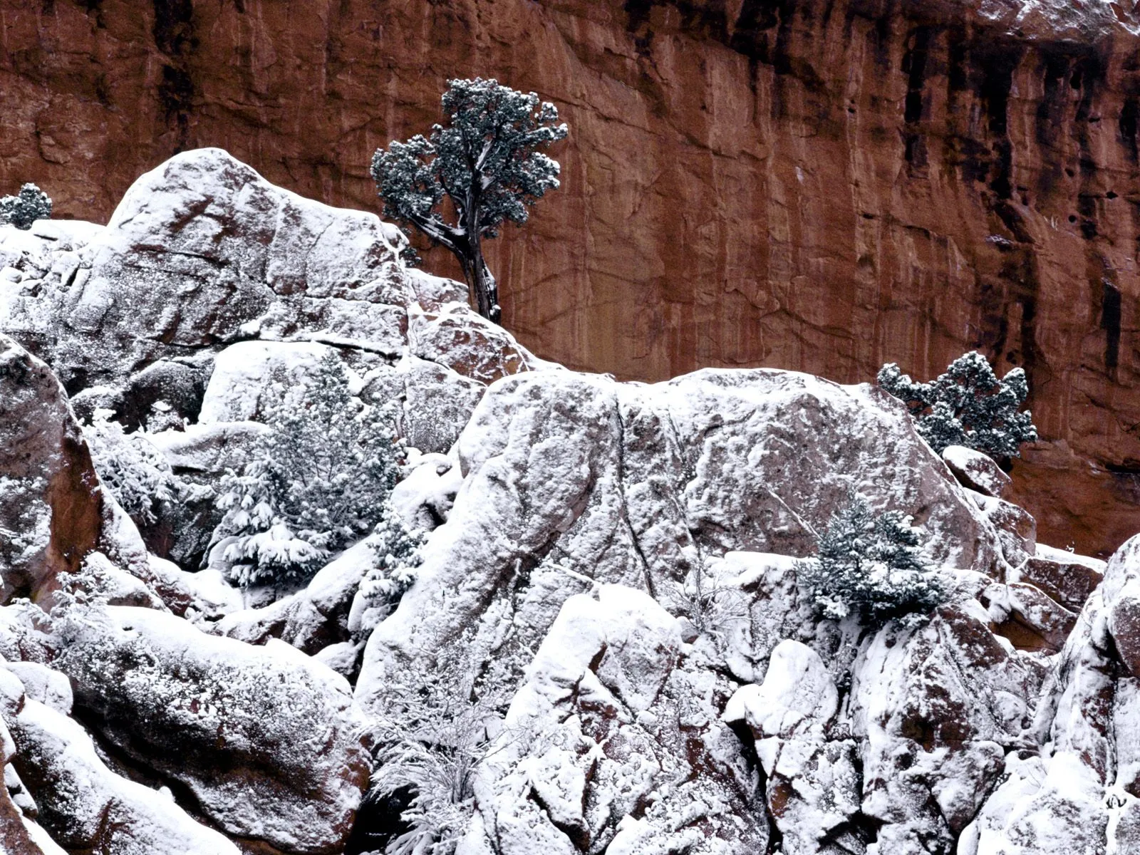 Snow covers the rugged rocks in front of a large, textured red cliff face with a few evergreen trees.
