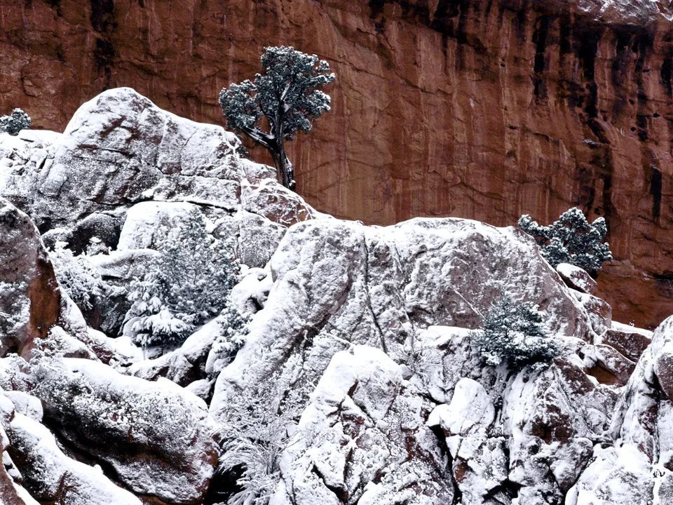 Snow covers the rugged rocks in front of a large, textured red cliff face with a few evergreen trees.