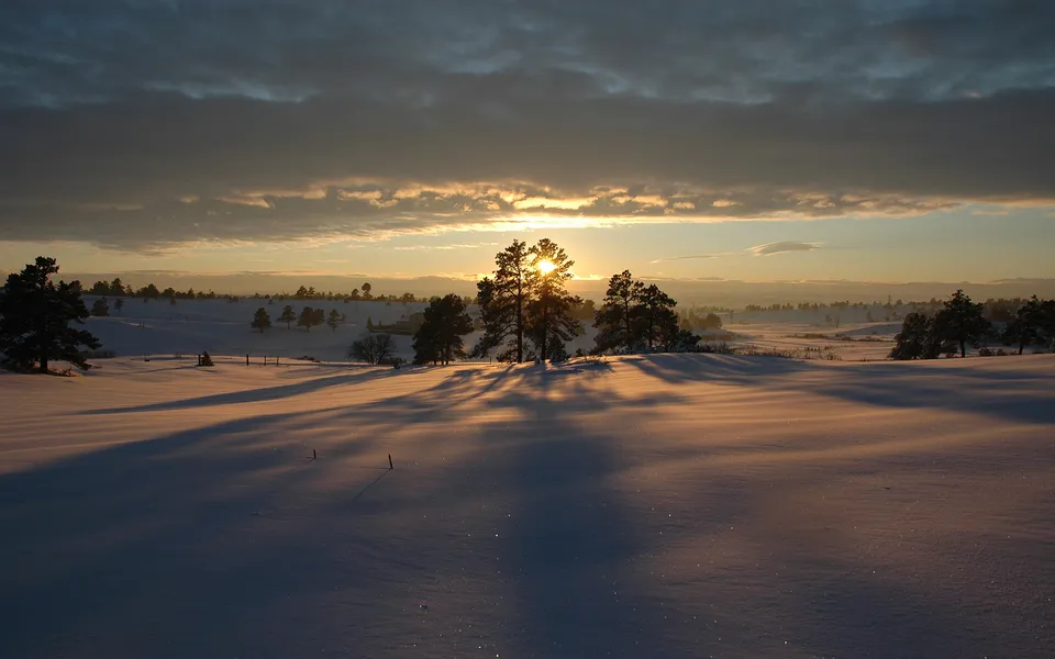 The sun rises behind a line of trees, casting long shadows across a snow-covered landscape.