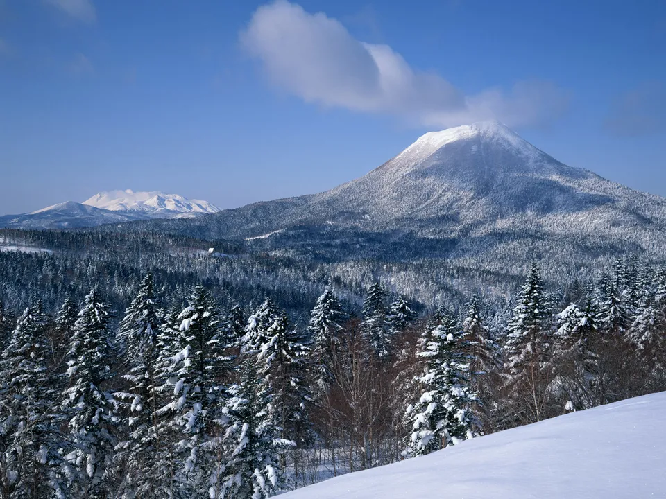 A snow-covered volcano rises majestically above a forest of snow-laden pine trees under a bright blue sky.