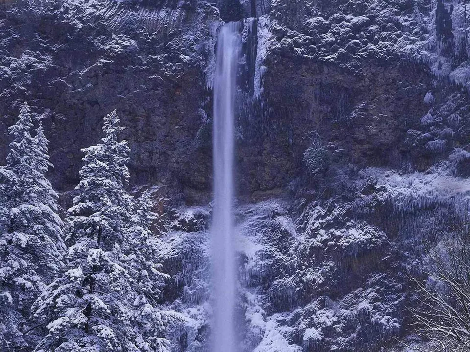 A tall waterfall plunges down a rocky cliff face covered in snow and ice, with snow-laden pine trees in the foreground.