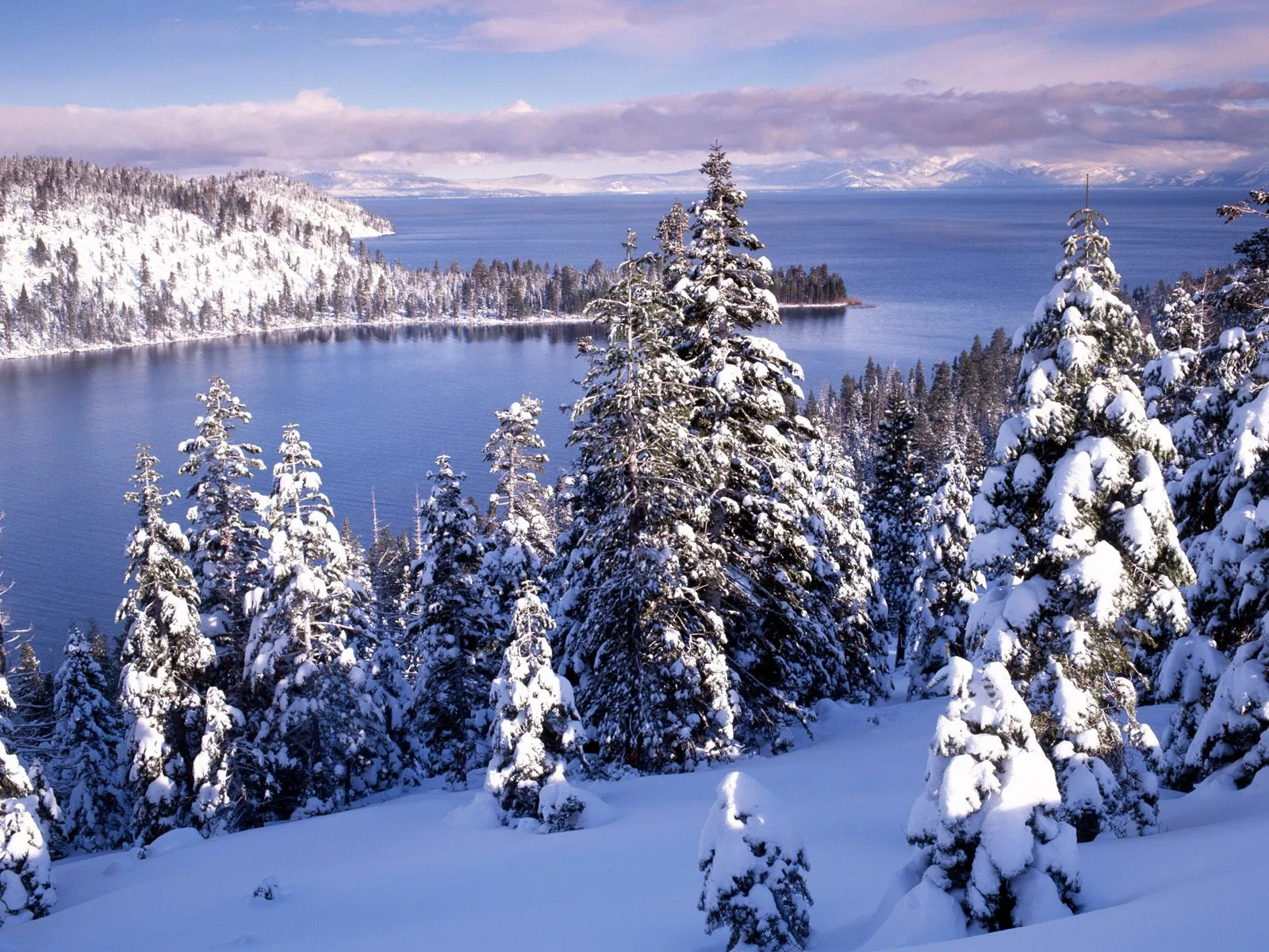 Snow-covered pine trees in the foreground overlook a calm, blue lake surrounded by snow-covered hills.