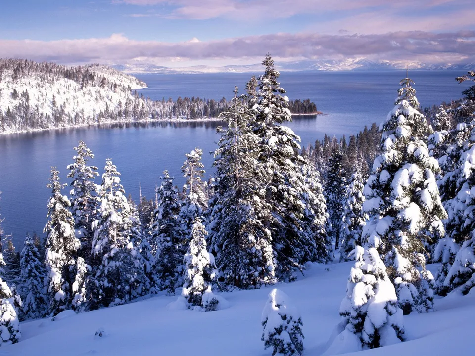 Snow-covered pine trees in the foreground overlook a calm, blue lake surrounded by snow-covered hills.