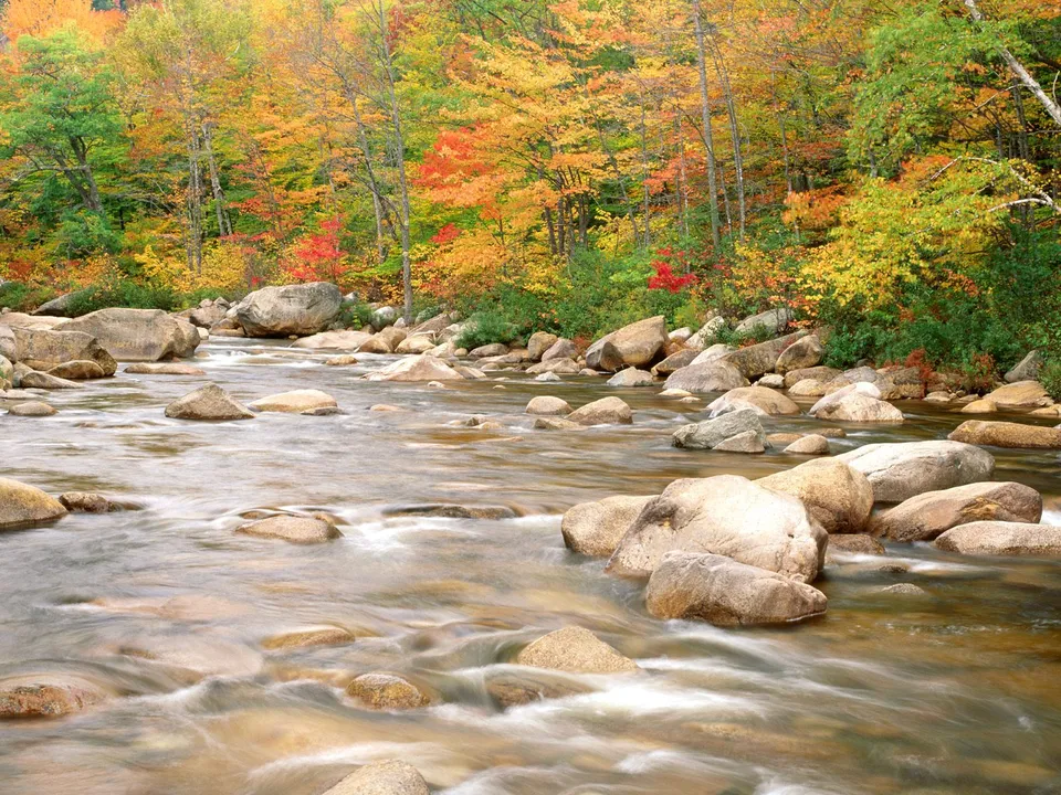 A wide river with a soft, blurred flow moves over numerous rocks, with autumn trees lining the banks.