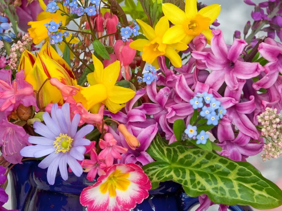 A close-up of a colorful bouquet of spring flowers including daffodils, tulips, hyacinths, and forget-me-nots.