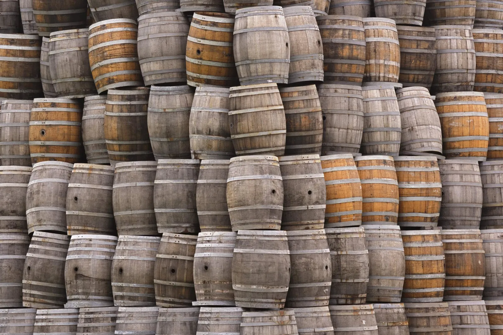 A large, tightly packed wall of wooden barrels, some weathered grey and others a warm orange-brown.
