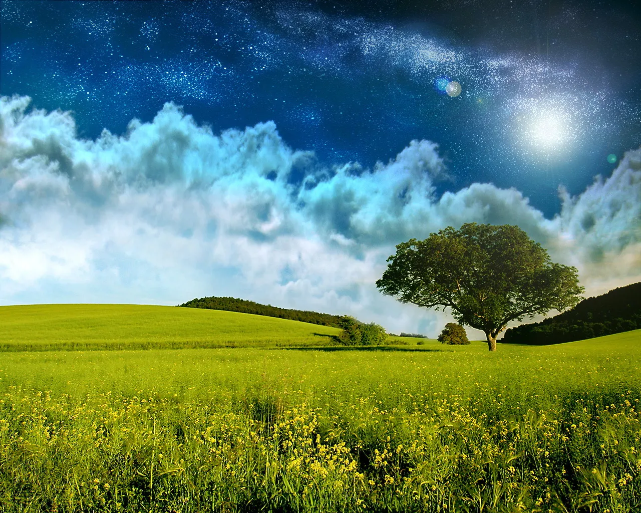 A vast starry night sky with clouds above a vibrant green field with yellow wildflowers and a lone tree.