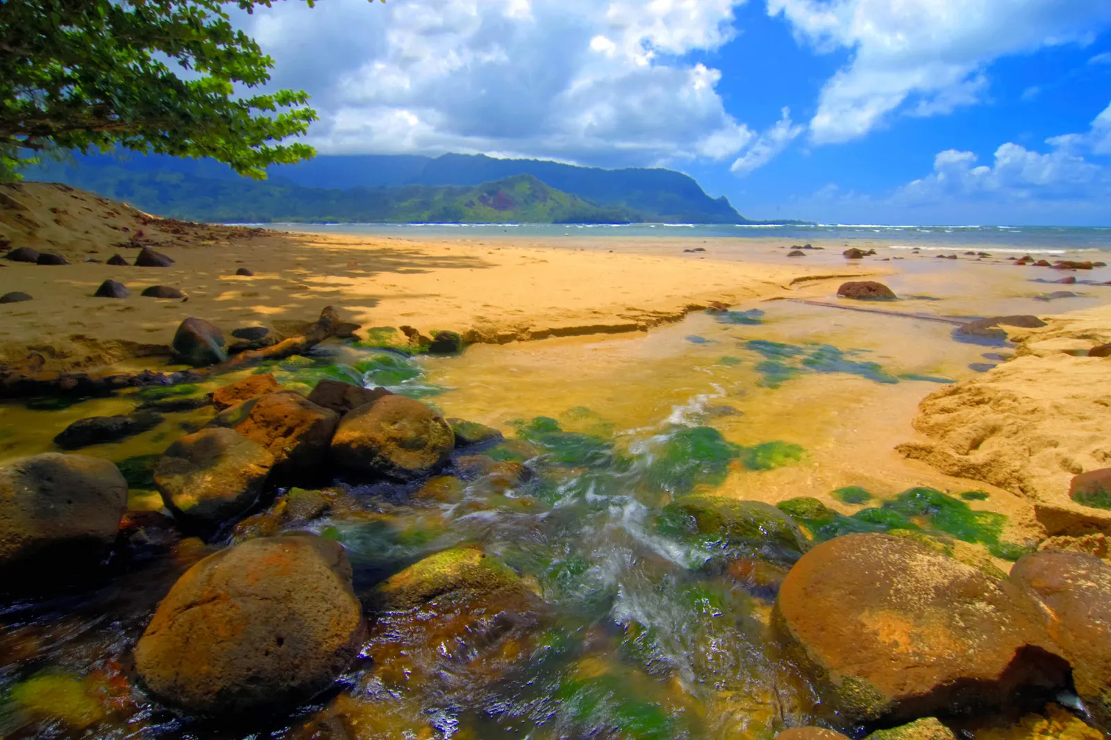 A small stream with mossy rocks flows across a sandy beach towards the ocean under a partly cloudy sky.