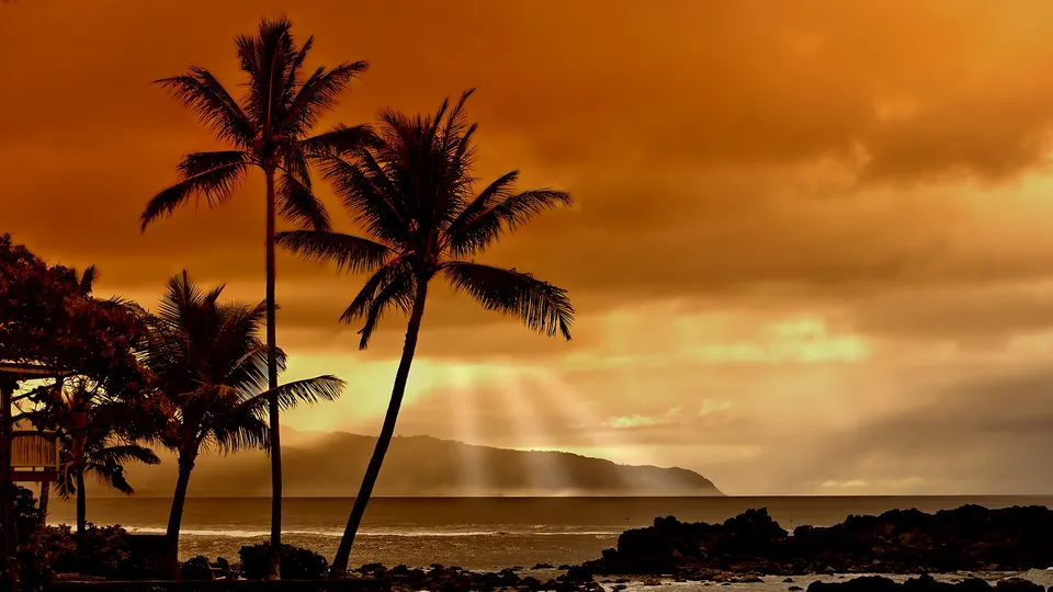 Sun rays pierce through a cloudy sky over the ocean, with silhouetted palm trees in the foreground.