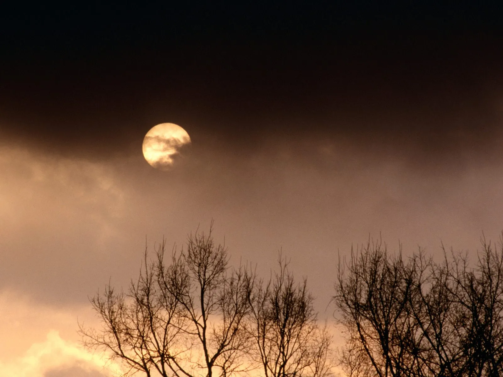The sun is partially obscured by clouds, casting a warm glow against a dark, moody sky with silhouetted trees in the foreground.