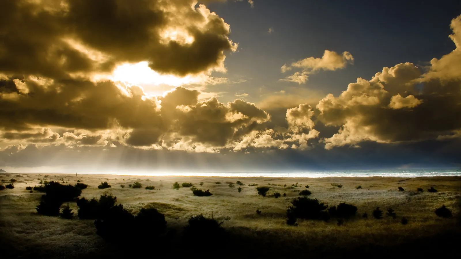 Golden sunbeams illuminate a coastal landscape with dunes and the ocean.