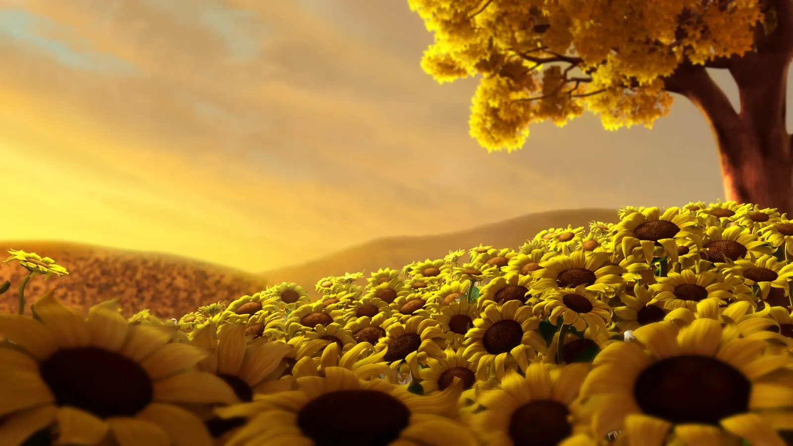 A field of sunflowers under a warm, golden sky with a tree in the background.