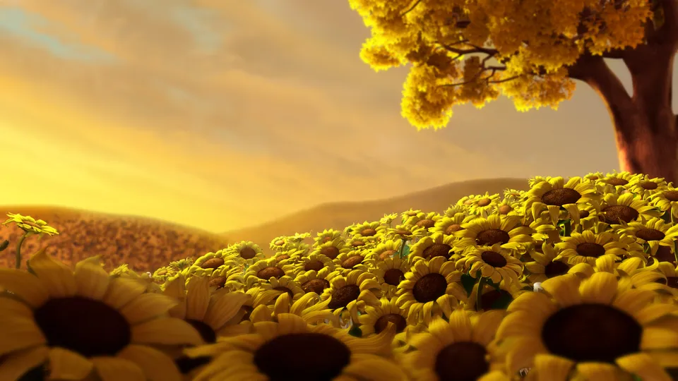A field of sunflowers under a warm, golden sky with a tree in the background.