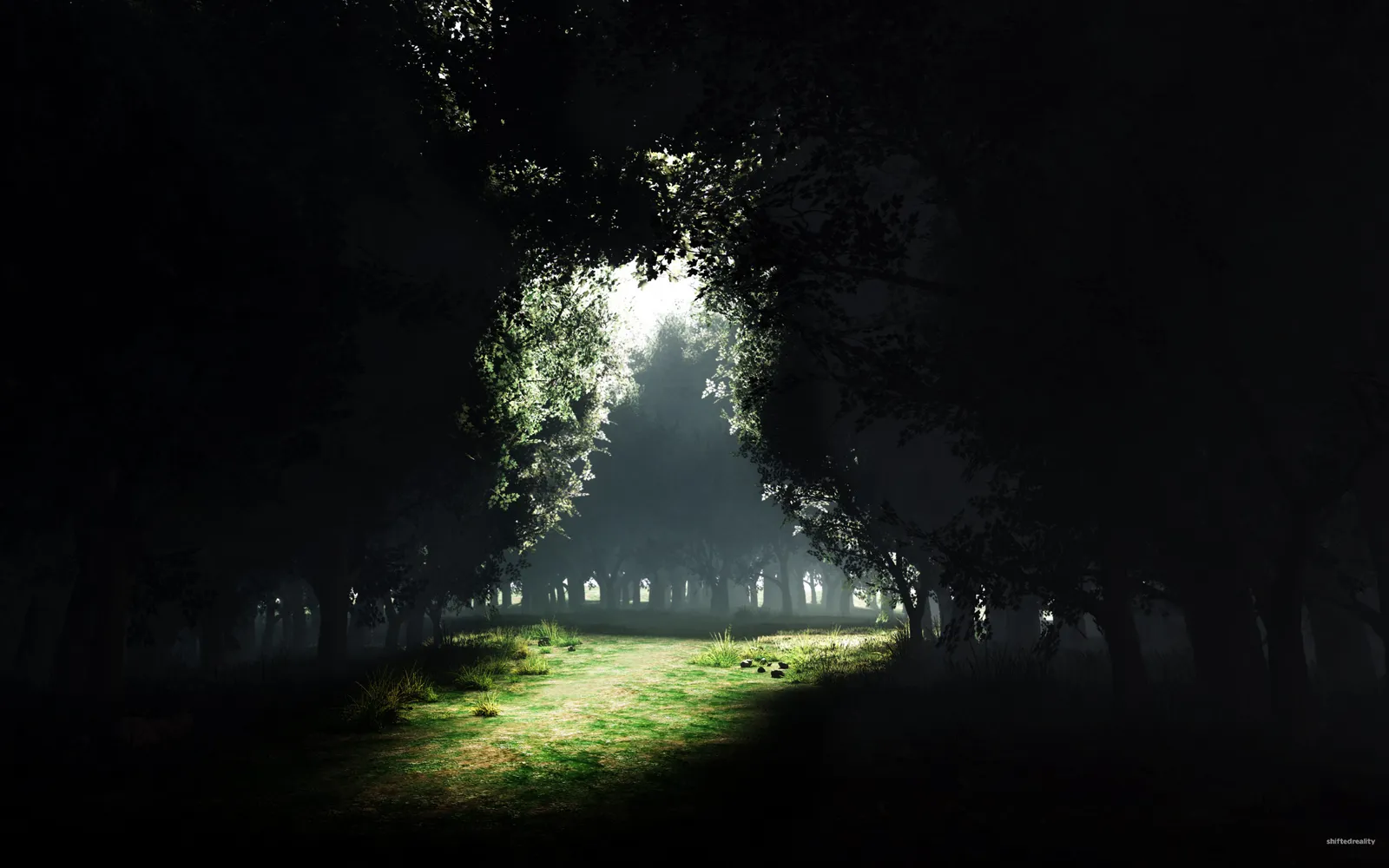Sunlight streams through a misty forest canopy, illuminating a grassy path.