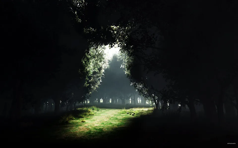Sunlight streams through a misty forest canopy, illuminating a grassy path.
