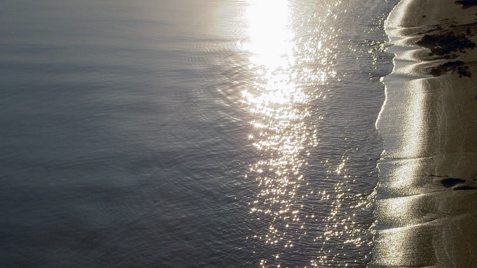 The sun reflects brightly on the rippling surface of the ocean, meeting a sandy shore with gentle waves lapping.