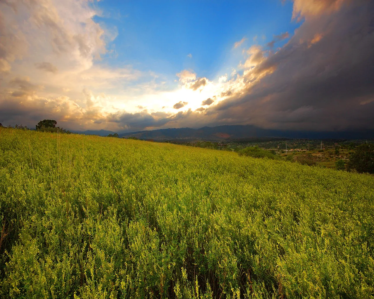 A vast green meadow slopes upwards towards distant mountains under a dramatic sky with sunbeams breaking through clouds.