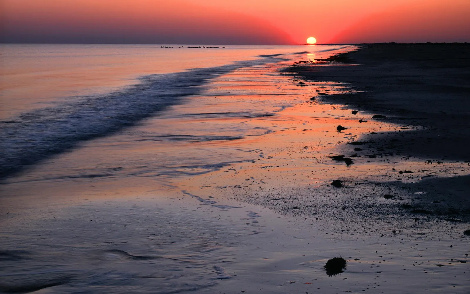The sun rises over a calm ocean, casting a golden glow on the wet sand and gentle waves.