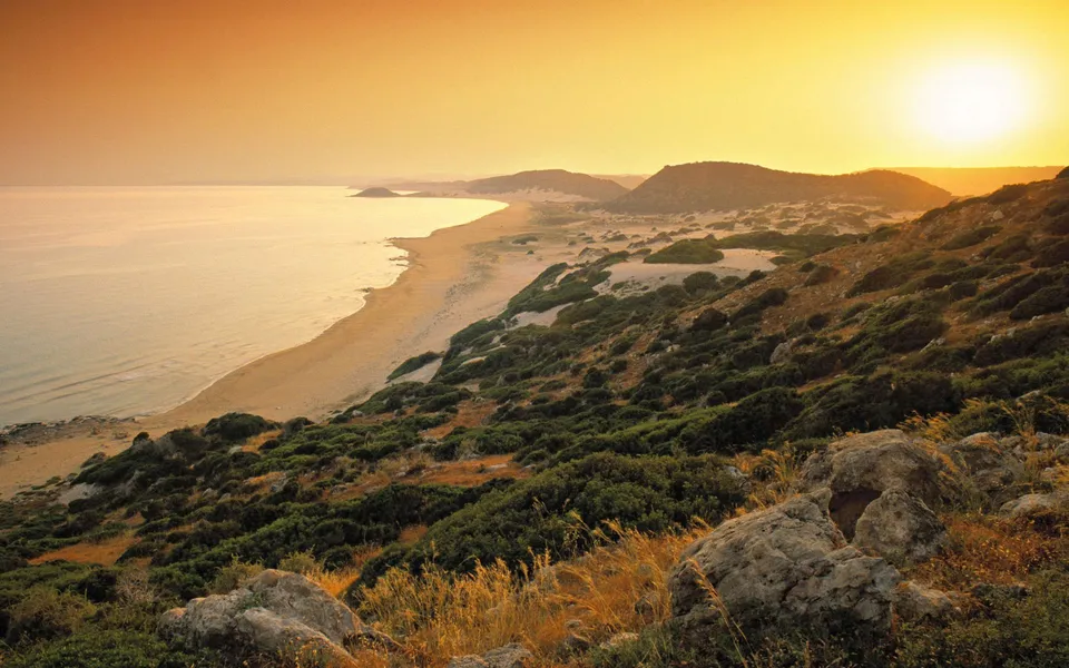 A wide view of a sandy beach and rolling hills bathed in the warm glow of sunrise.