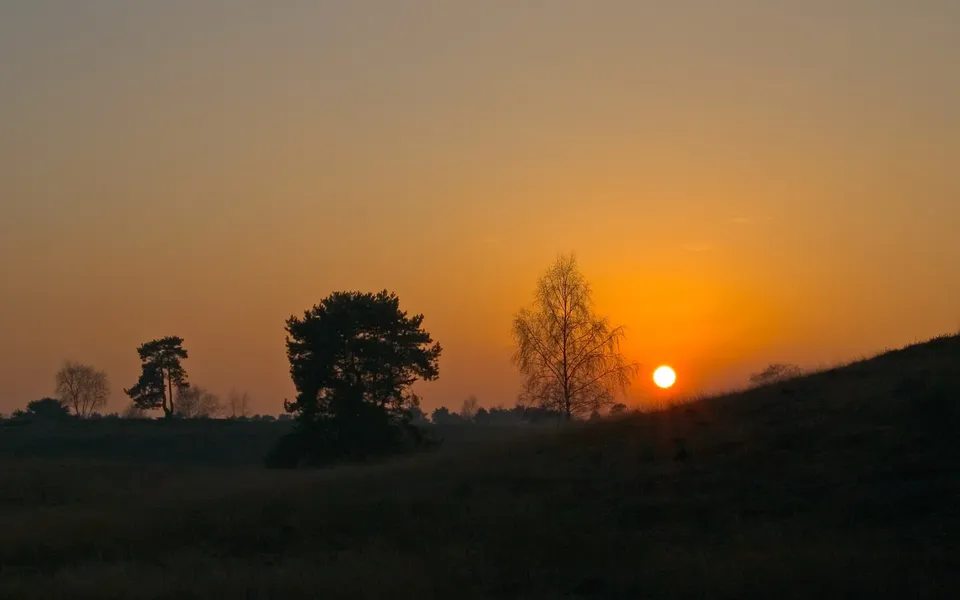 A bright orange sun rises over a dark, grassy hill, silhouetting several trees against the warm sky.