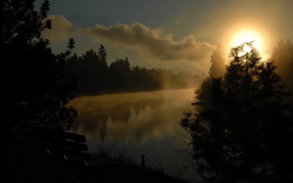 A misty sunrise over a lake with silhouetted trees and a bench in the foreground.