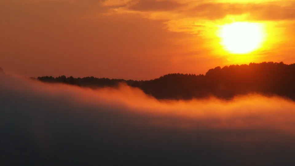 The sun rises brightly over a silhouetted forest, with a thick layer of orange fog obscuring the lower landscape.