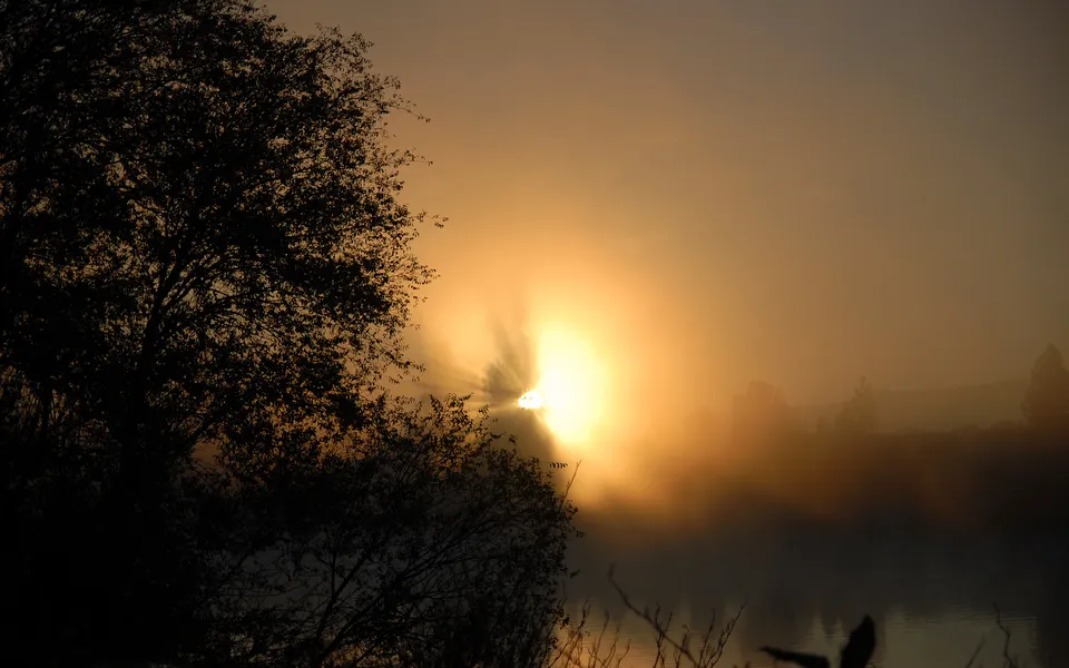 The sun rises through a misty sky, casting golden rays over a silhouetted treeline and calm water.