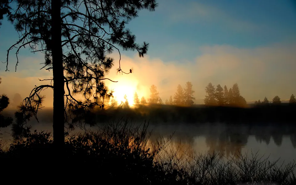 A misty sunrise over a lake, with silhouetted trees in the foreground and background.