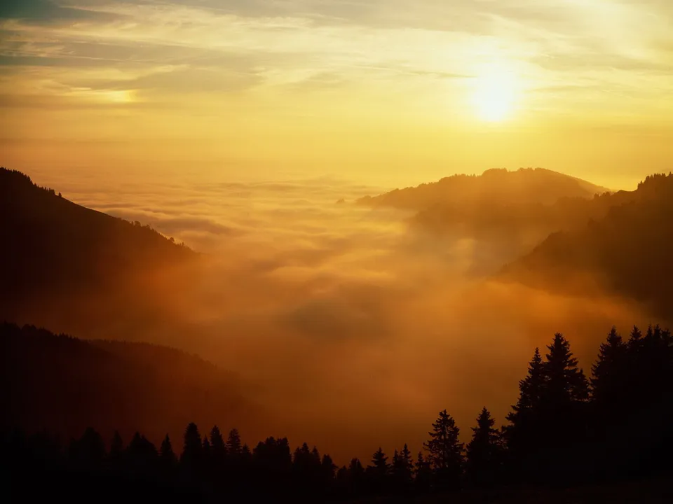 A golden sunrise illuminates a valley filled with thick fog, with silhouetted mountains and trees.